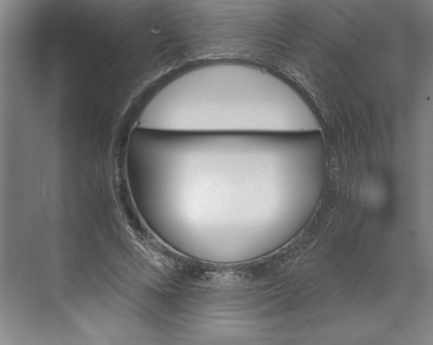 X0000071330688200607071633