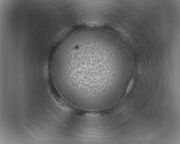 X0000071330690200607071633