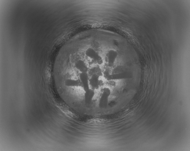 X0000071330691200607071633