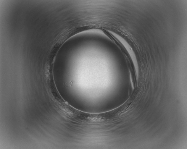 X0000071330693200607071633