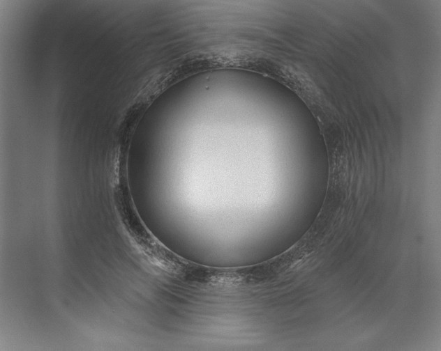 X0000071330694200607071633