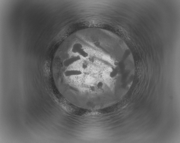 X0000071330695200607071633