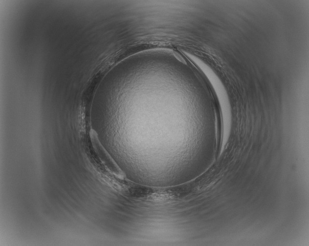 X0000071330696200607071632