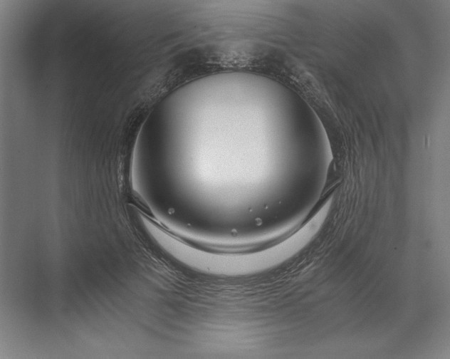 X0000071330697200607071632