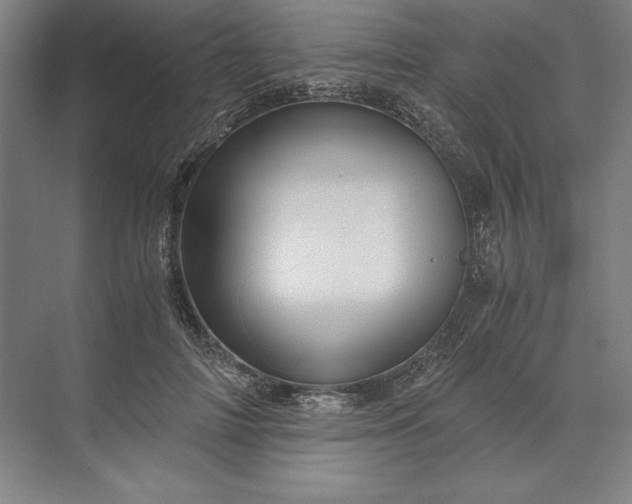 X0000071330698200607071632