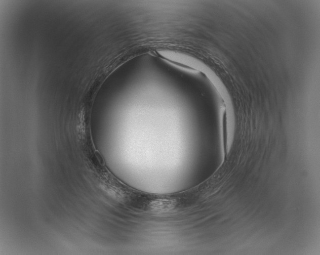 X0000071330700200607071632