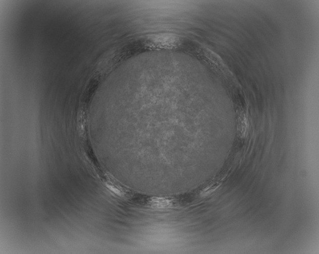 X0000071330701200607071632