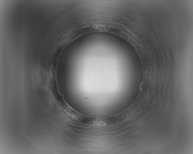 X0000071330702200607071632