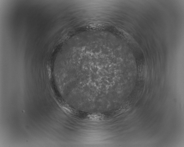 X0000071330703200607071632