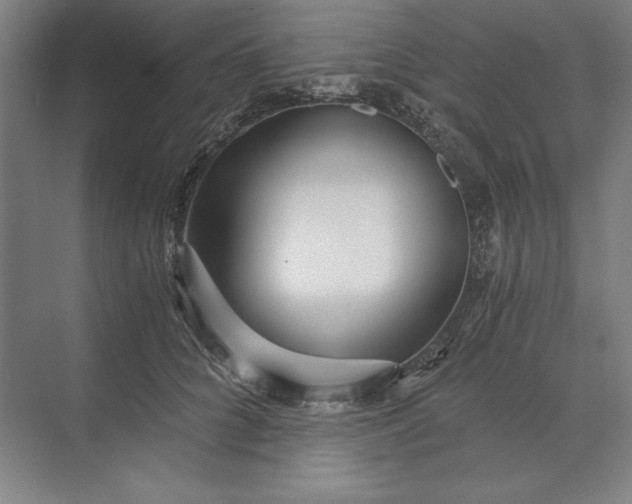 X0000071330704200607071632