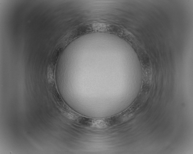 X0000071330705200607071632