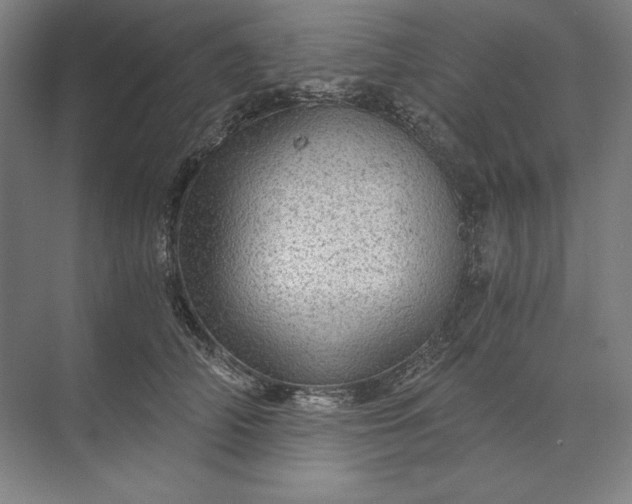 X0000071330706200607071632