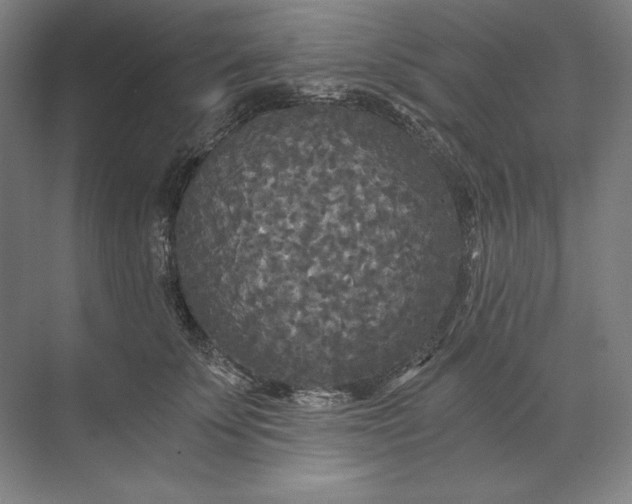 X0000071330707200607071632