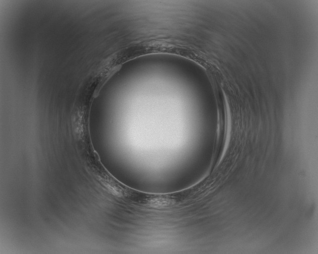 X0000071330708200607071632