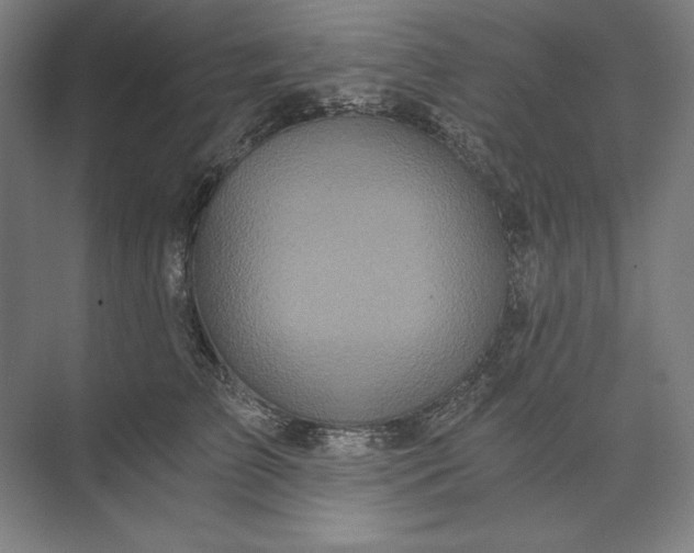 X0000071330709200607071632