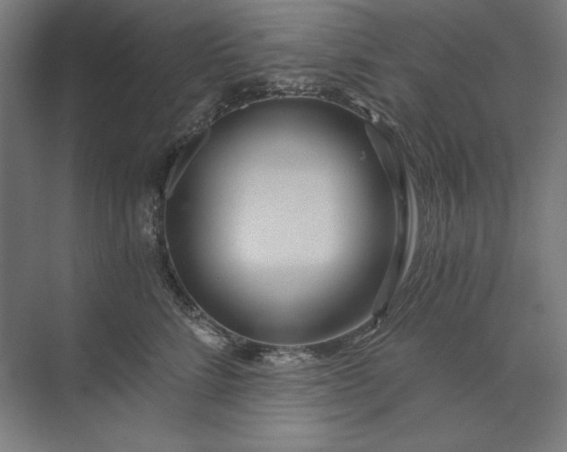 X0000071330712200607071632