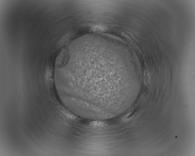 X0000071330714200607071632