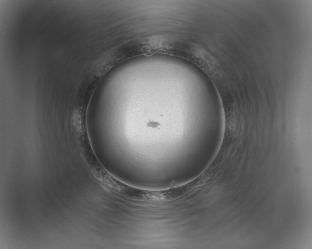 X0000071330715200607071632