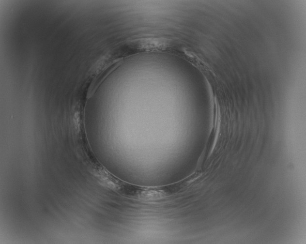 X0000071330716200607071632