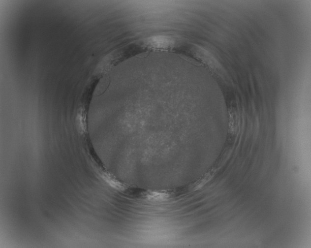 X0000071330718200607071632