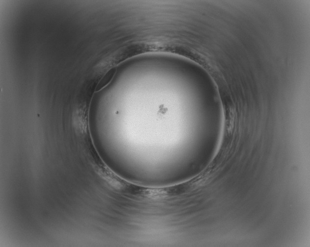 X0000071330719200607071632