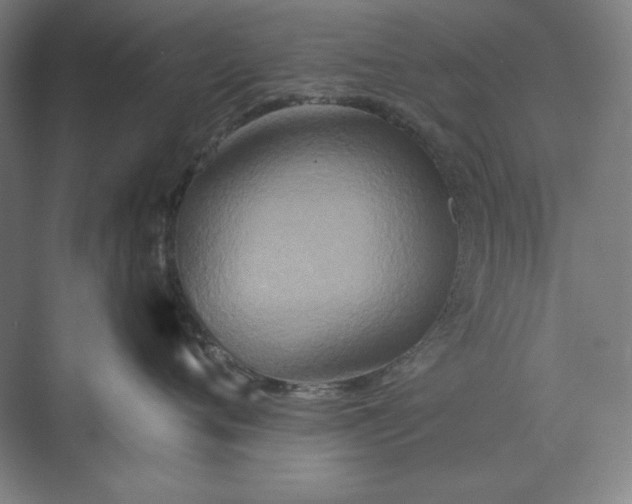 X0000071330720200607071632