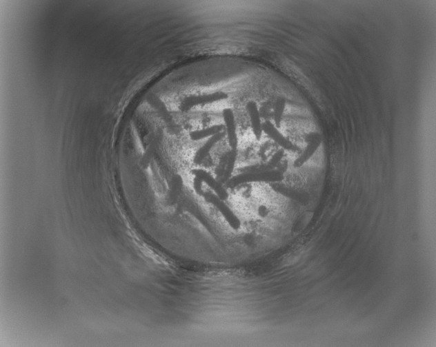 X0000071330721200607071631