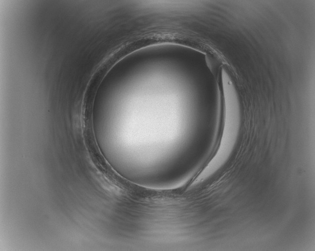 X0000071330722200607071631