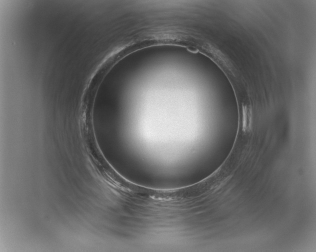 X0000071330723200607071631