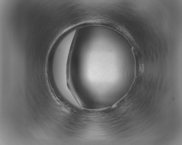 X0000071330724200607071631