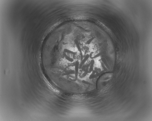 X0000071330725200607071631