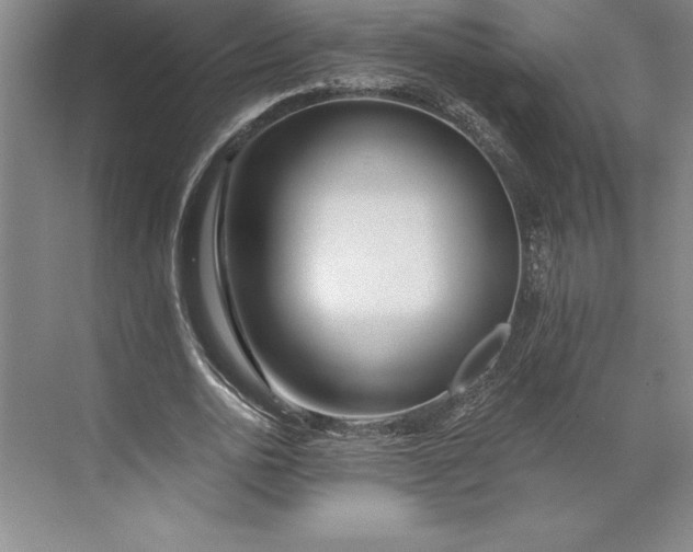 X0000071330726200607071631