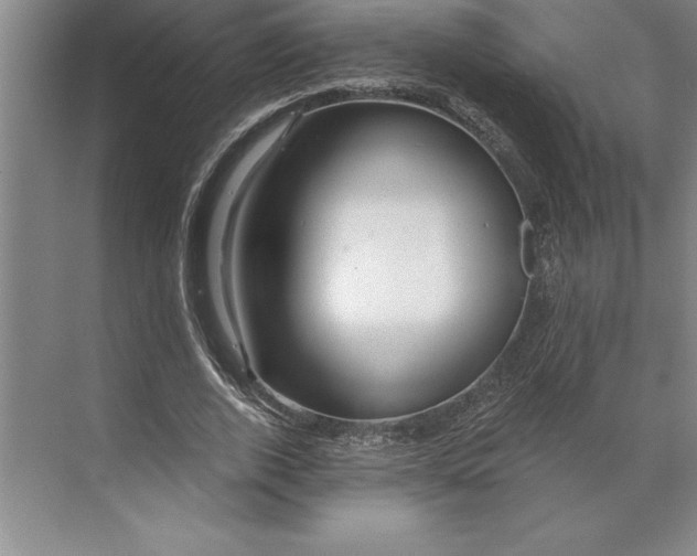 X0000071330728200607071631