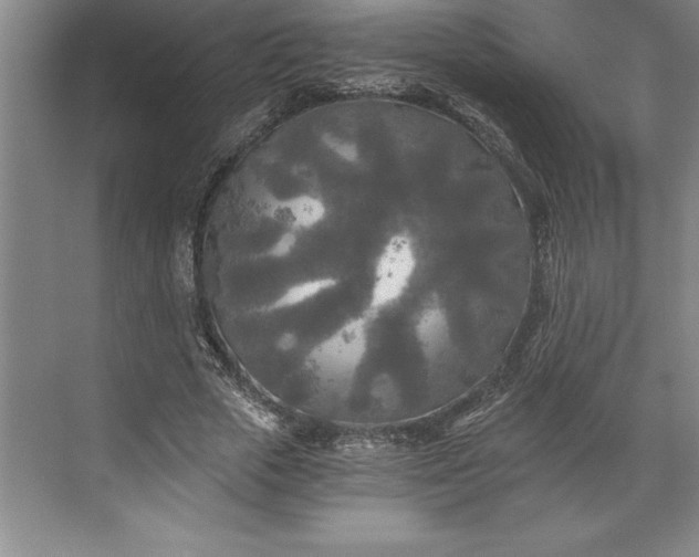 X0000071330729200607071631