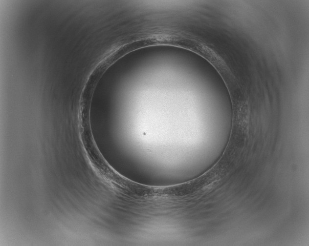 X0000071330730200607071631