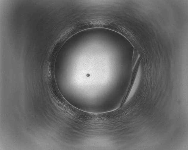 X0000071330731200607071631