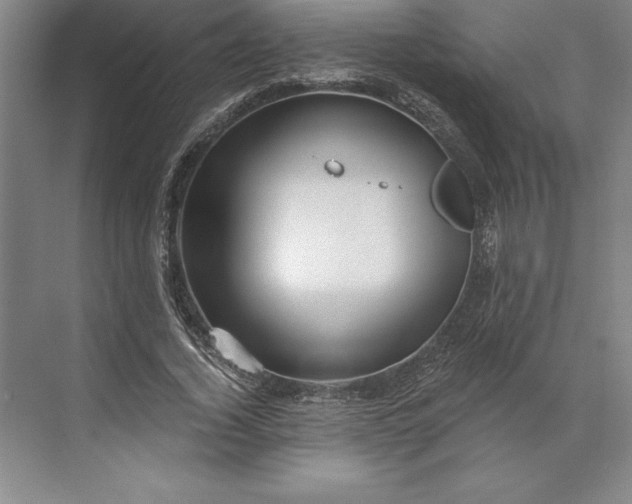 X0000071330732200607071631