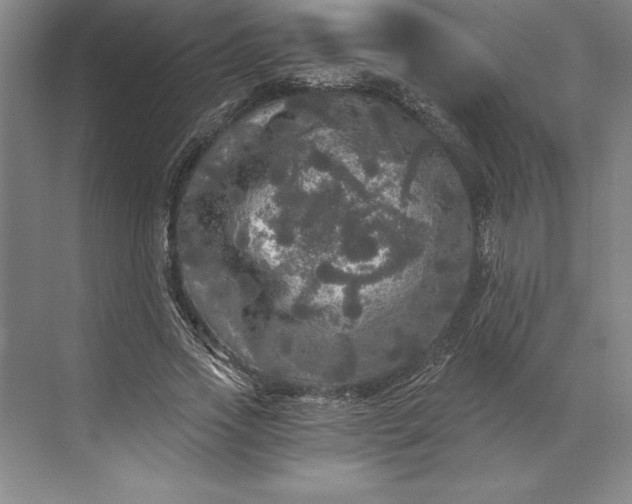 X0000071330733200607071631