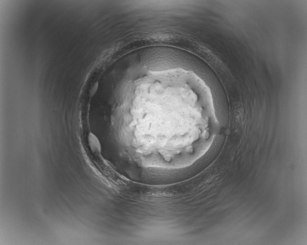 X0000071330734200607071631