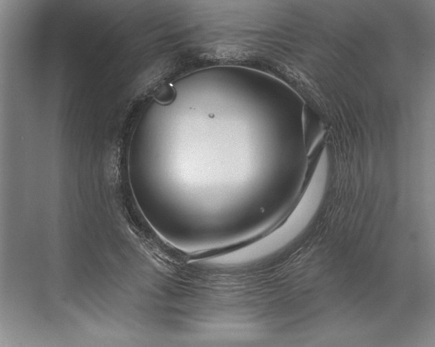 X0000071330735200607071631