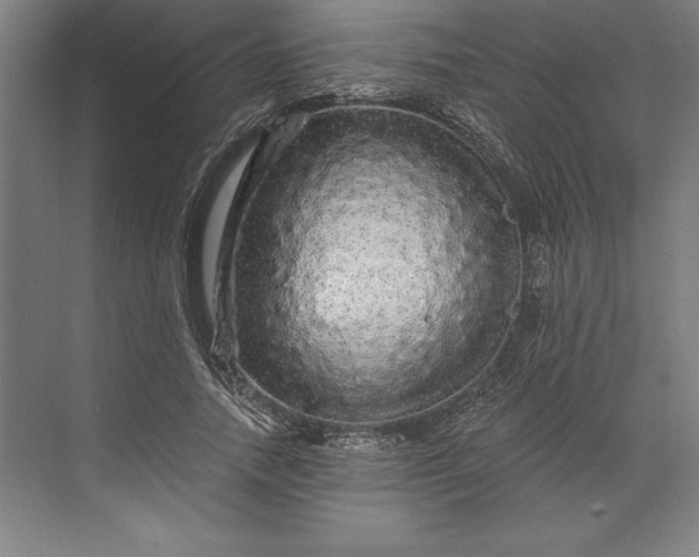 X0000071330738200607071632