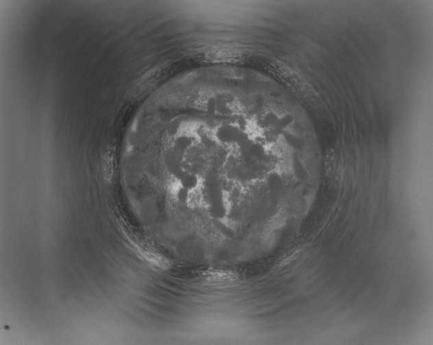 X0000071330741200607071632