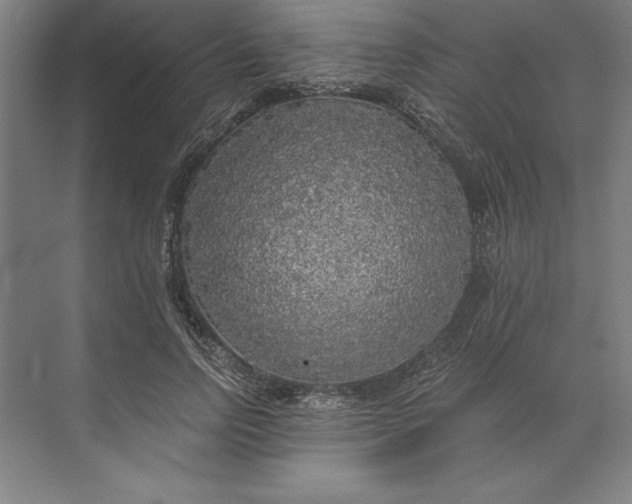 X0000071330742200607071632