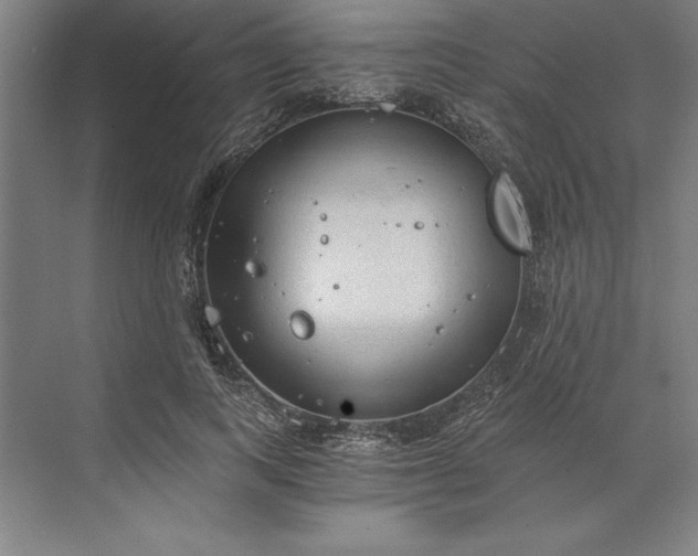 X0000071330743200607071632