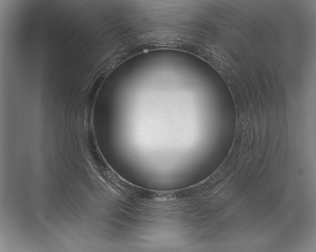 X0000071330744200607071632