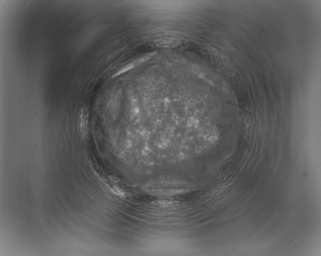 X0000071330745200607071632