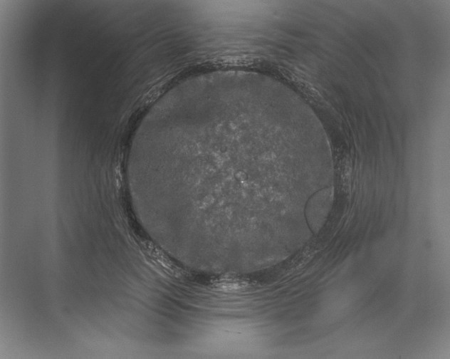 X0000071330746200607071632