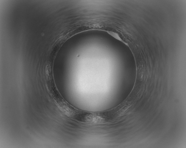 X0000071330747200607071632