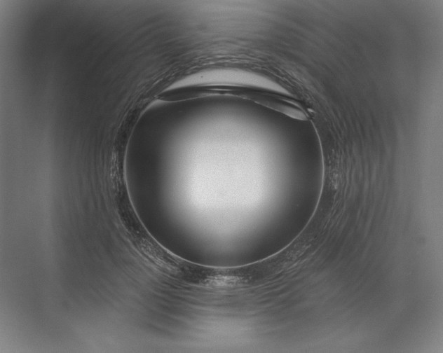 X0000071330748200607071632