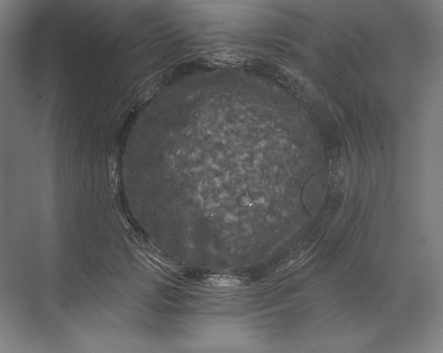 X0000071330749200607071632